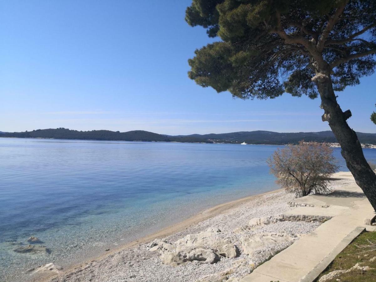 Sea And Pine Paradise Orebić Eksteriør billede